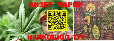 крисы Пенза