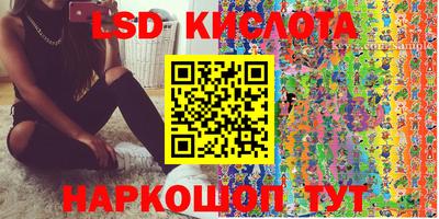 крисы Пенза