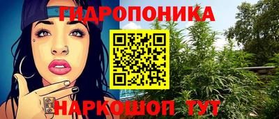 крисы Пенза