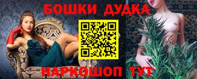 крисы Пенза