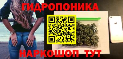 крисы Пенза