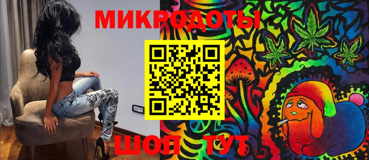 Галлюциногенные грибы Psilocybe Саратов